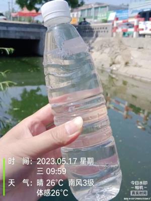 河南一河道黑臭水體治理